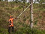 191120_Husqvarna_Brasil_677-aplicacao-1300x1000