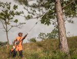 191120_Husqvarna_Brasil_663-aplicacao-1300x1000